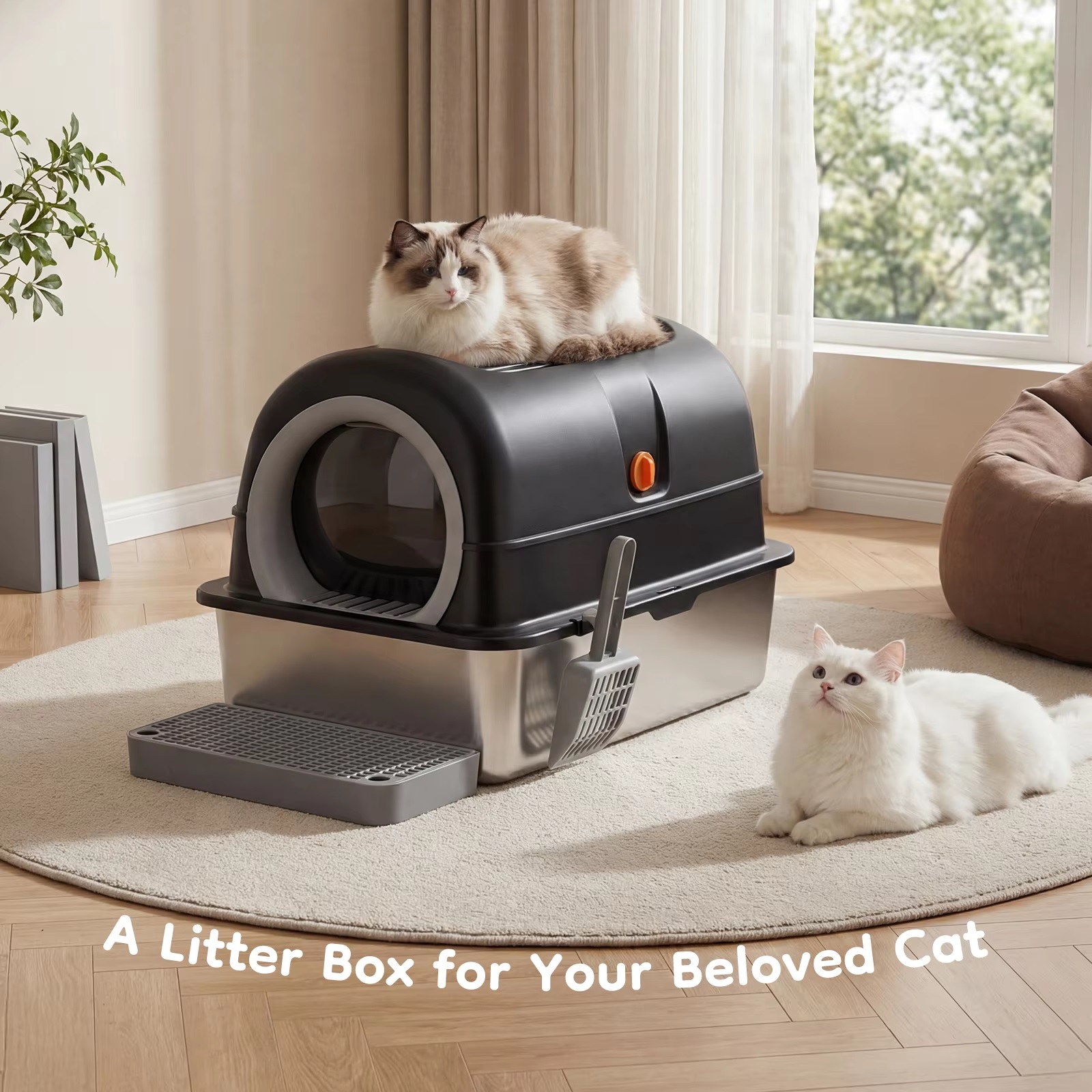 How to Choose the Right Large Cat Litter Box (Size, Type & Buying Checklist)