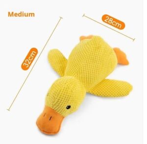Squeaky plush duck toy for dogs