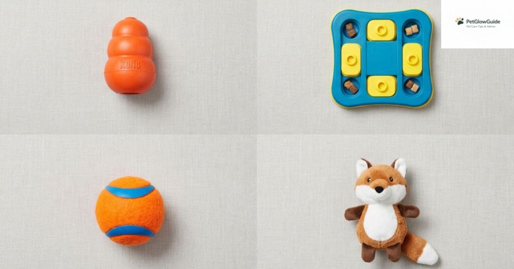 Four types of dog toys: chew toy, puzzle toy, fetch ball, and plush toy