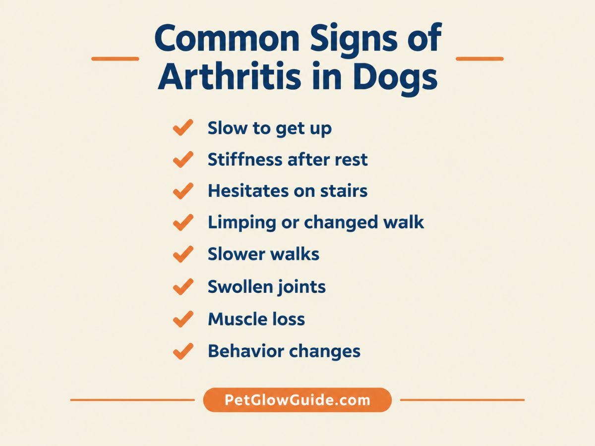 Checklist of common signs of arthritis in dogs.